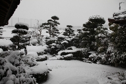 ゆうわ-庭園冬